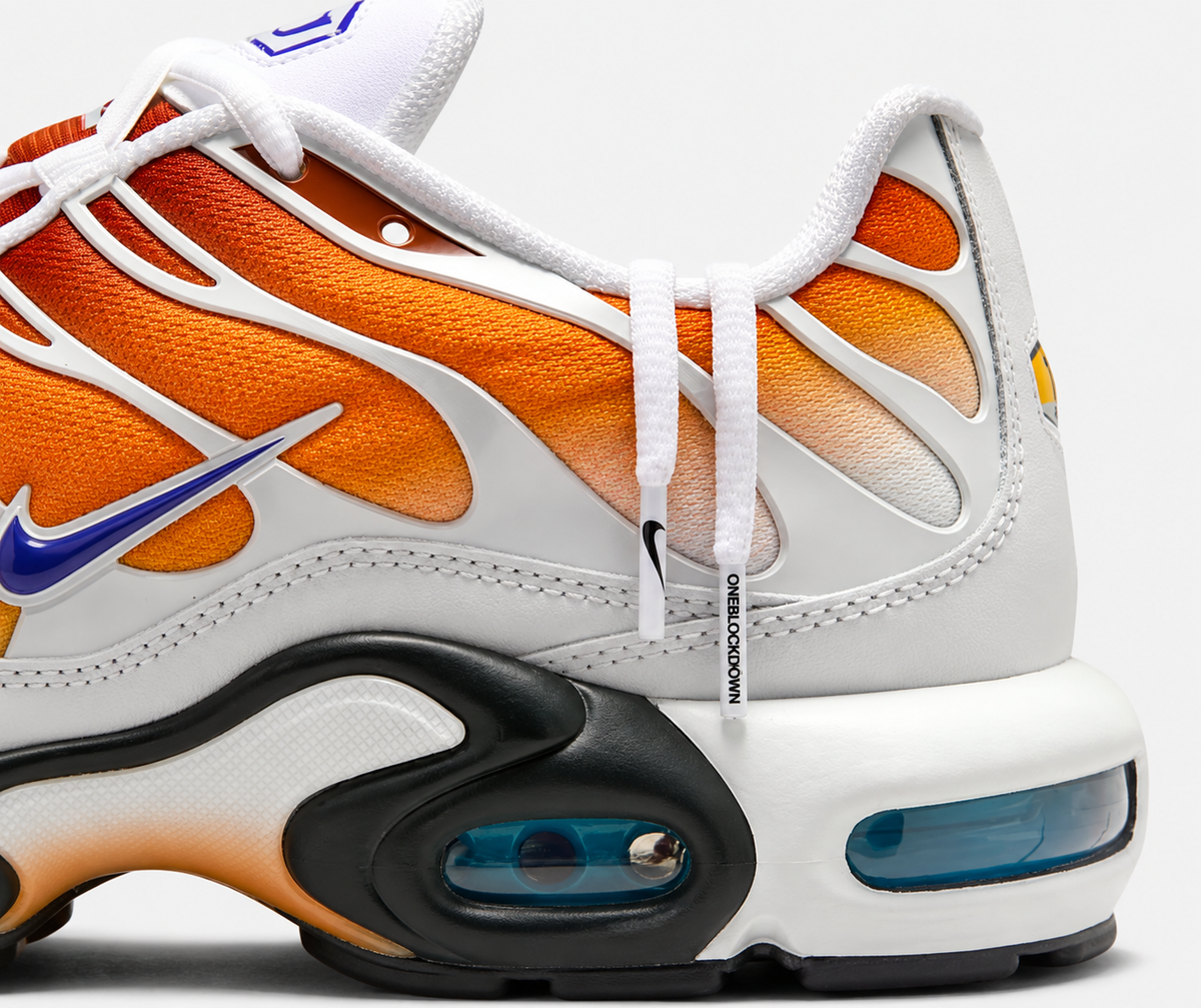 One Block Down x Nike Air Max Plus “Chutney” FZ3308-700 Nike
