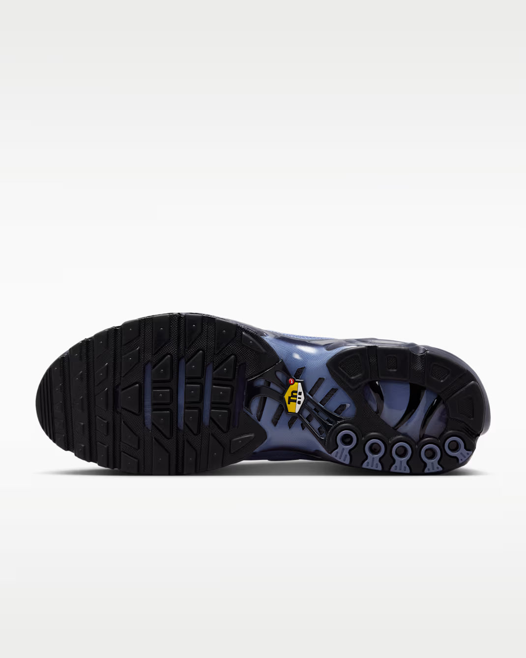 Nike Air Max Plus World Indigo DM0032-404 Nike