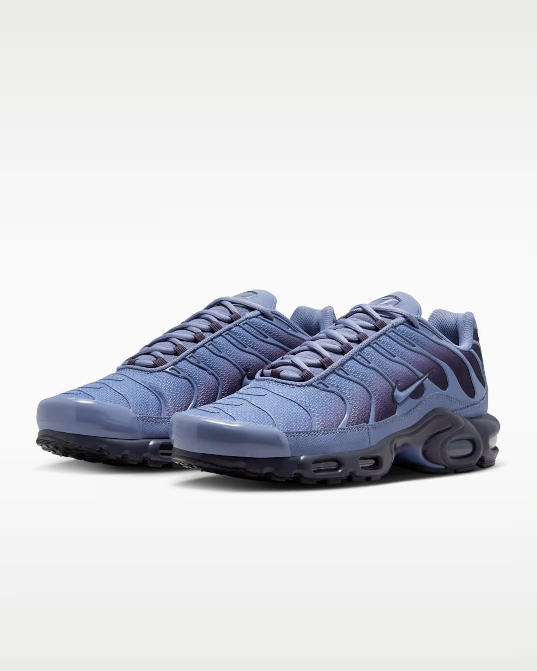 Nike Air Max Plus World Indigo DM0032-404 Nike