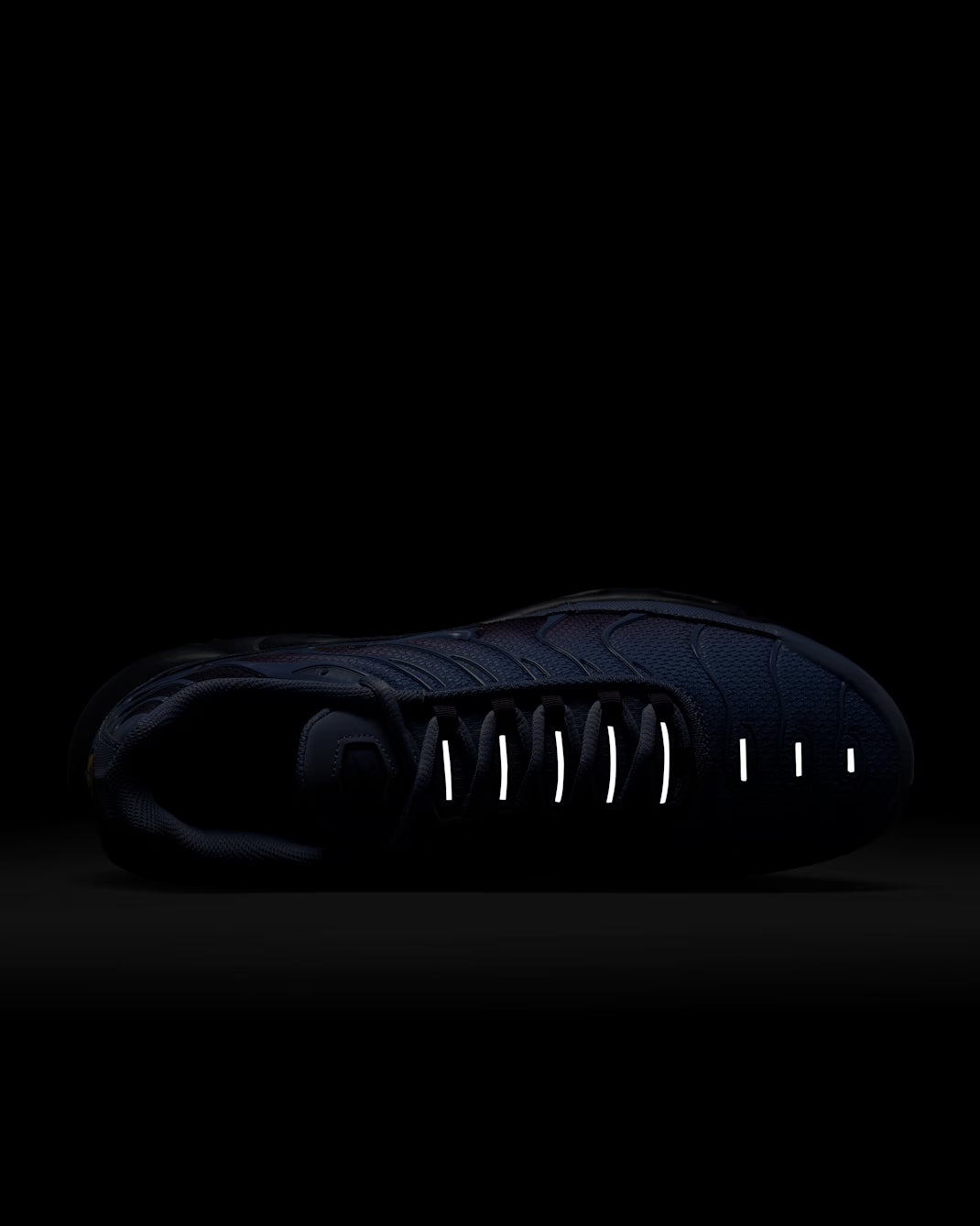 Nike Air Max Plus World Indigo DM0032-404 Nike