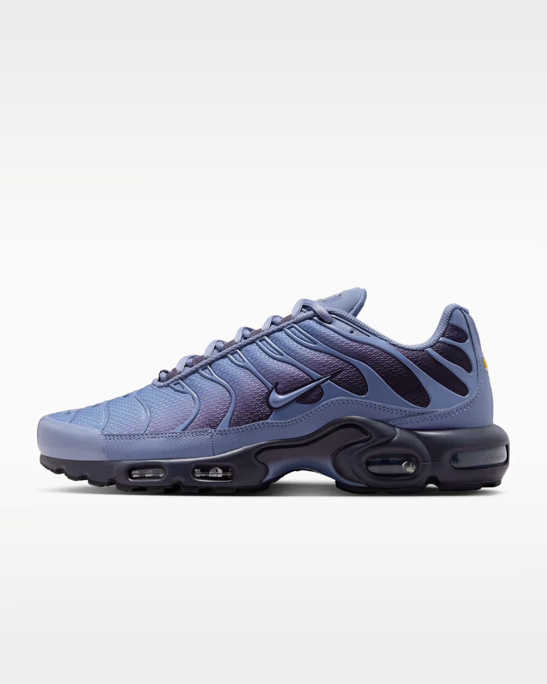 Nike Air Max Plus World Indigo DM0032-404 Nike