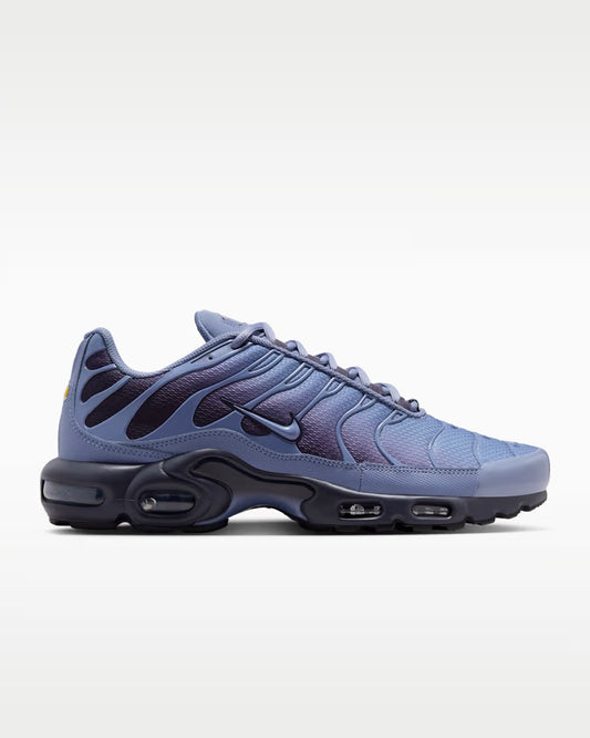 Nike Air Max Plus World Indigo DM0032-404 Nike