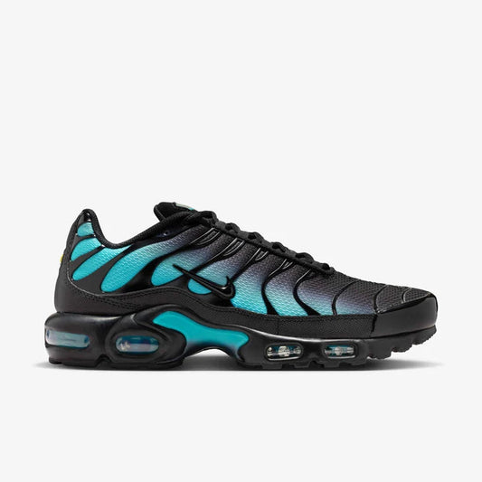 Nike Air Max Plus "Dusty Cactus" DM0032-016 Nike